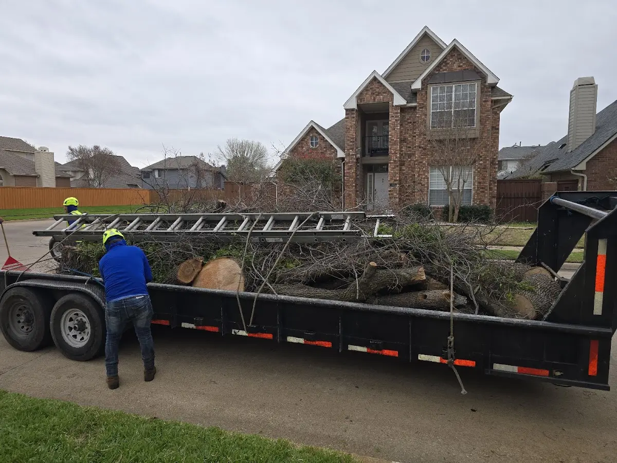 Expert Lot Clearing with proper safety equipment in Lowell